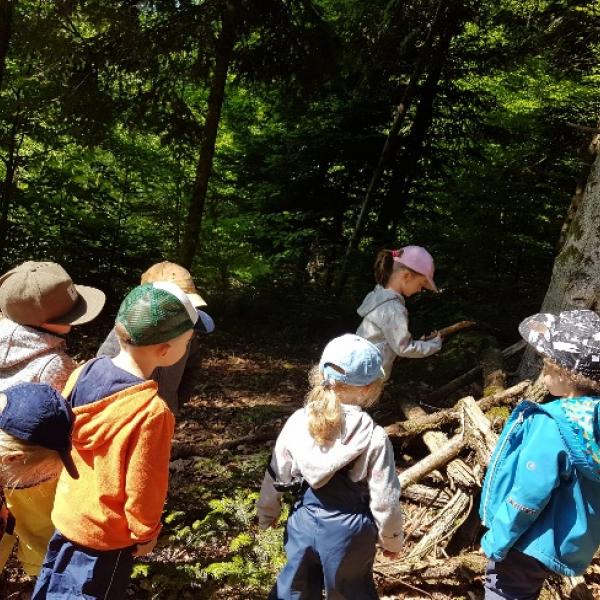 Kita Luzern: Die Dinos